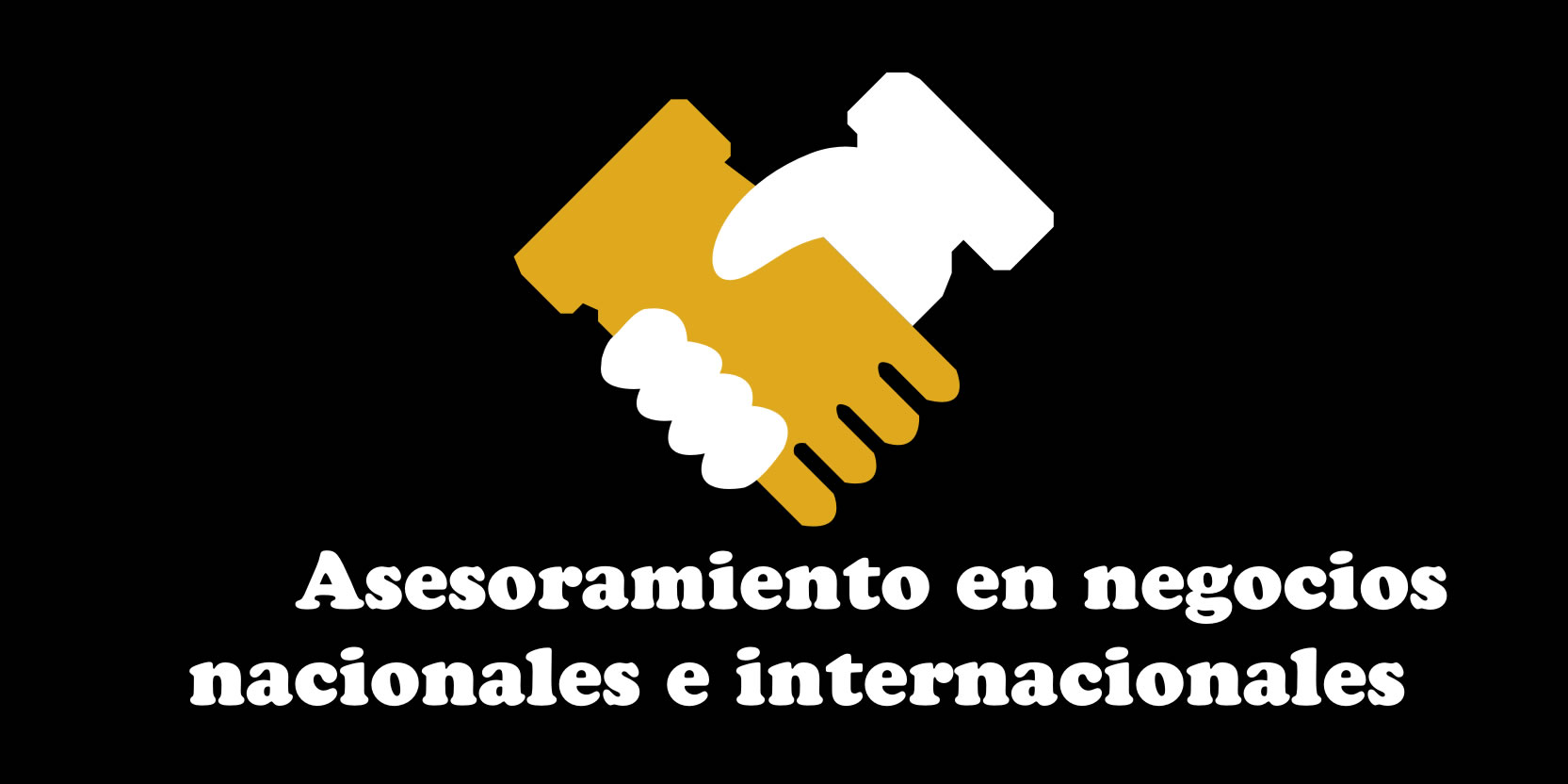 Asesoramiento y apoyo en generar negocios nacionales e internacionales